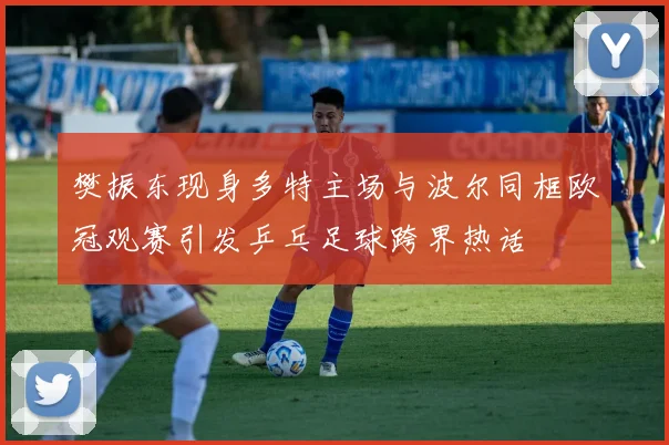 樊振东现身多特主场与波尔同框欧冠观赛引发乒乓足球跨界热话