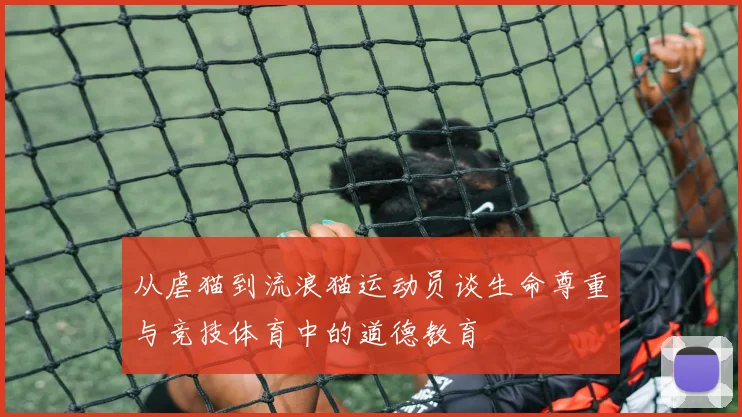 从虐猫到流浪猫运动员谈生命尊重与竞技体育中的道德教育