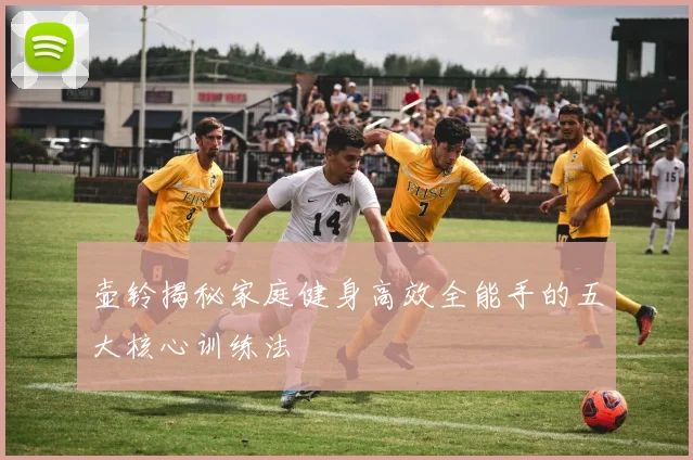 壶铃揭秘家庭健身高效全能手的五大核心训练法