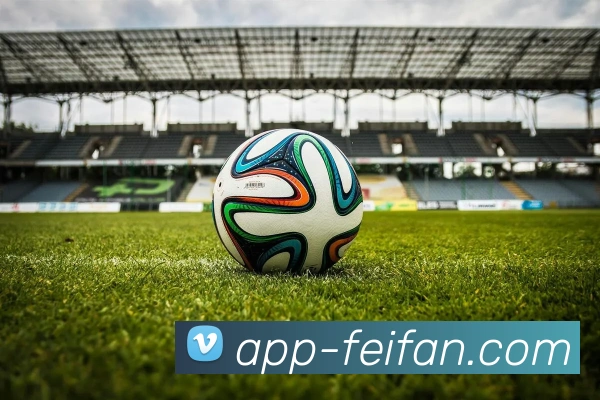 App Interface Preview