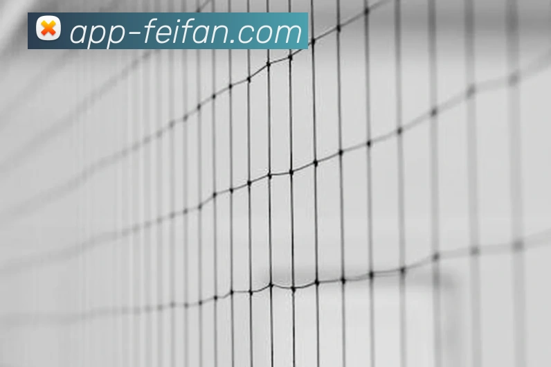 feifan官网APPAPP 封面图